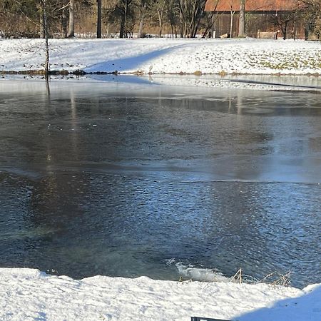 Haus Am Fischteich Lägenhet Feistritz ob Bleiburg Exteriör bild
