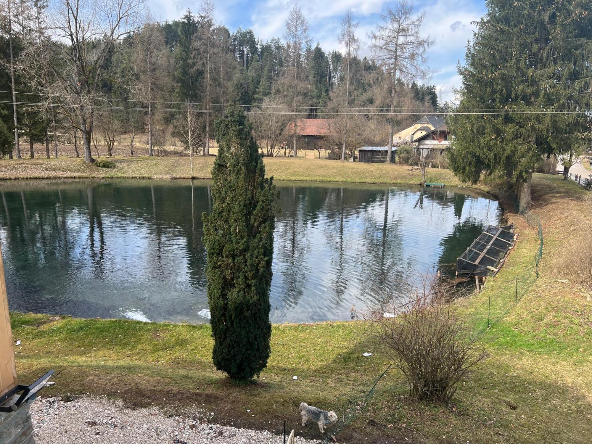 Haus Am Fischteich Lägenhet Feistritz ob Bleiburg Exteriör bild