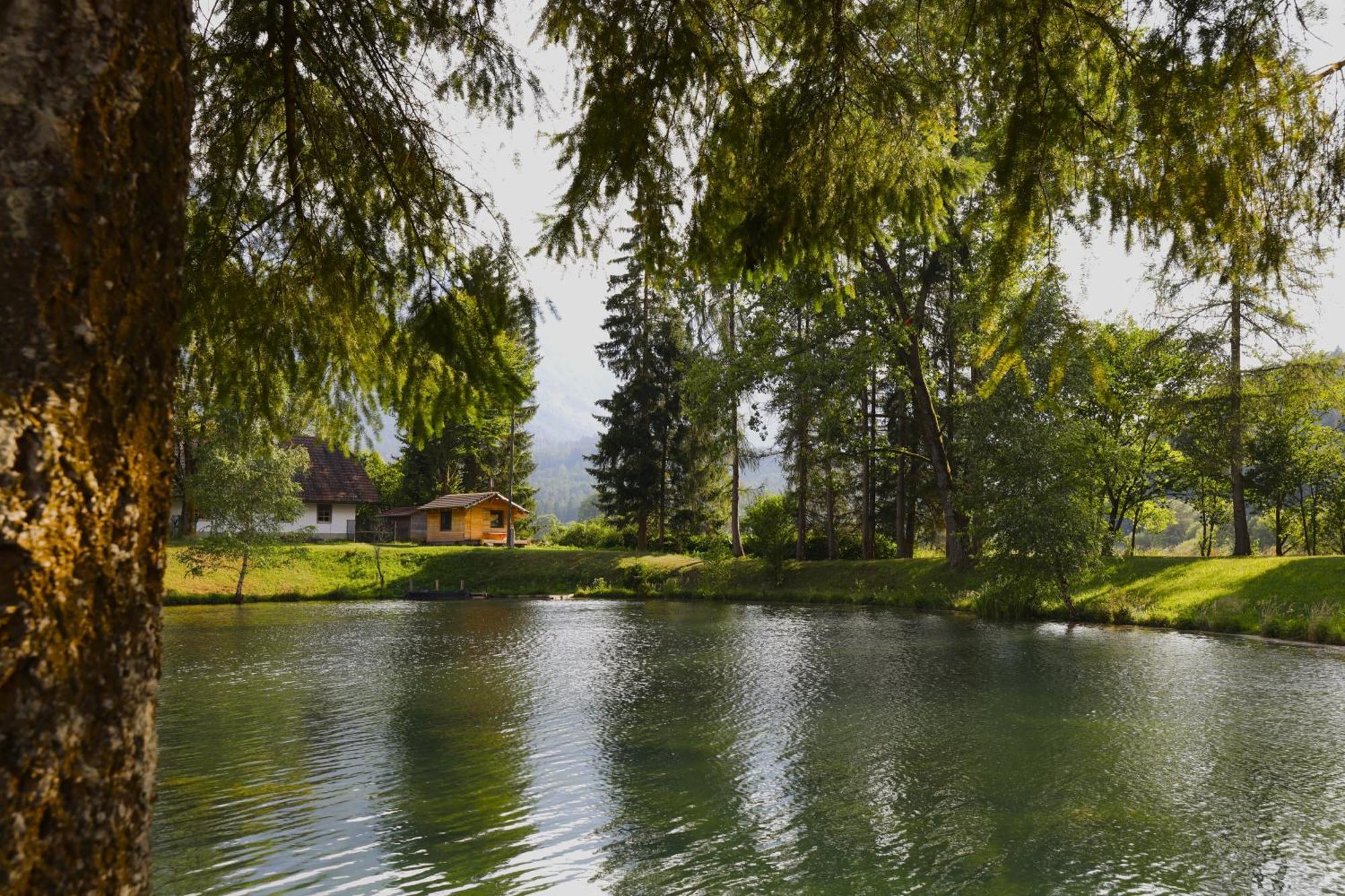 Haus Am Fischteich Lägenhet Feistritz ob Bleiburg Exteriör bild