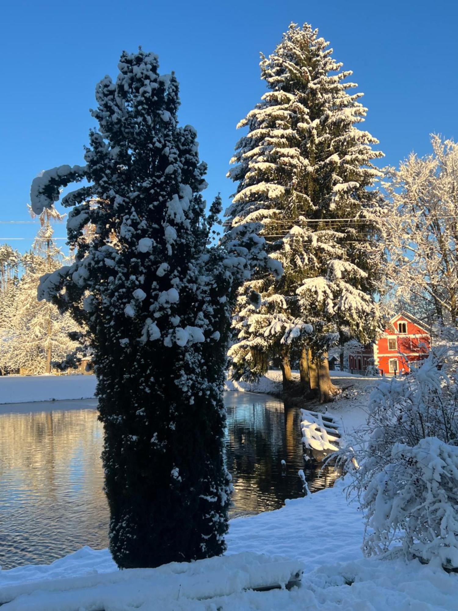 Haus Am Fischteich Lägenhet Feistritz ob Bleiburg Exteriör bild
