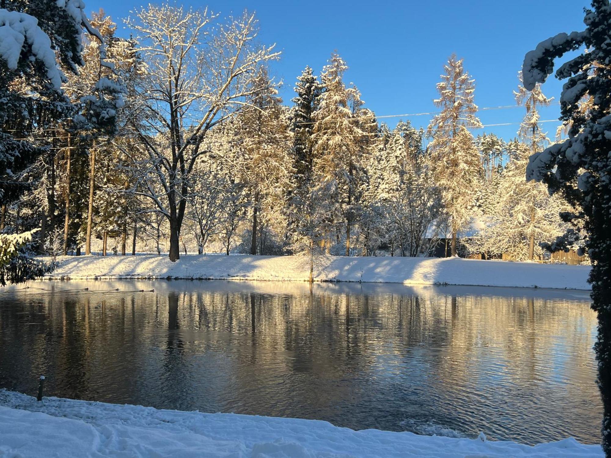 Haus Am Fischteich Lägenhet Feistritz ob Bleiburg Exteriör bild