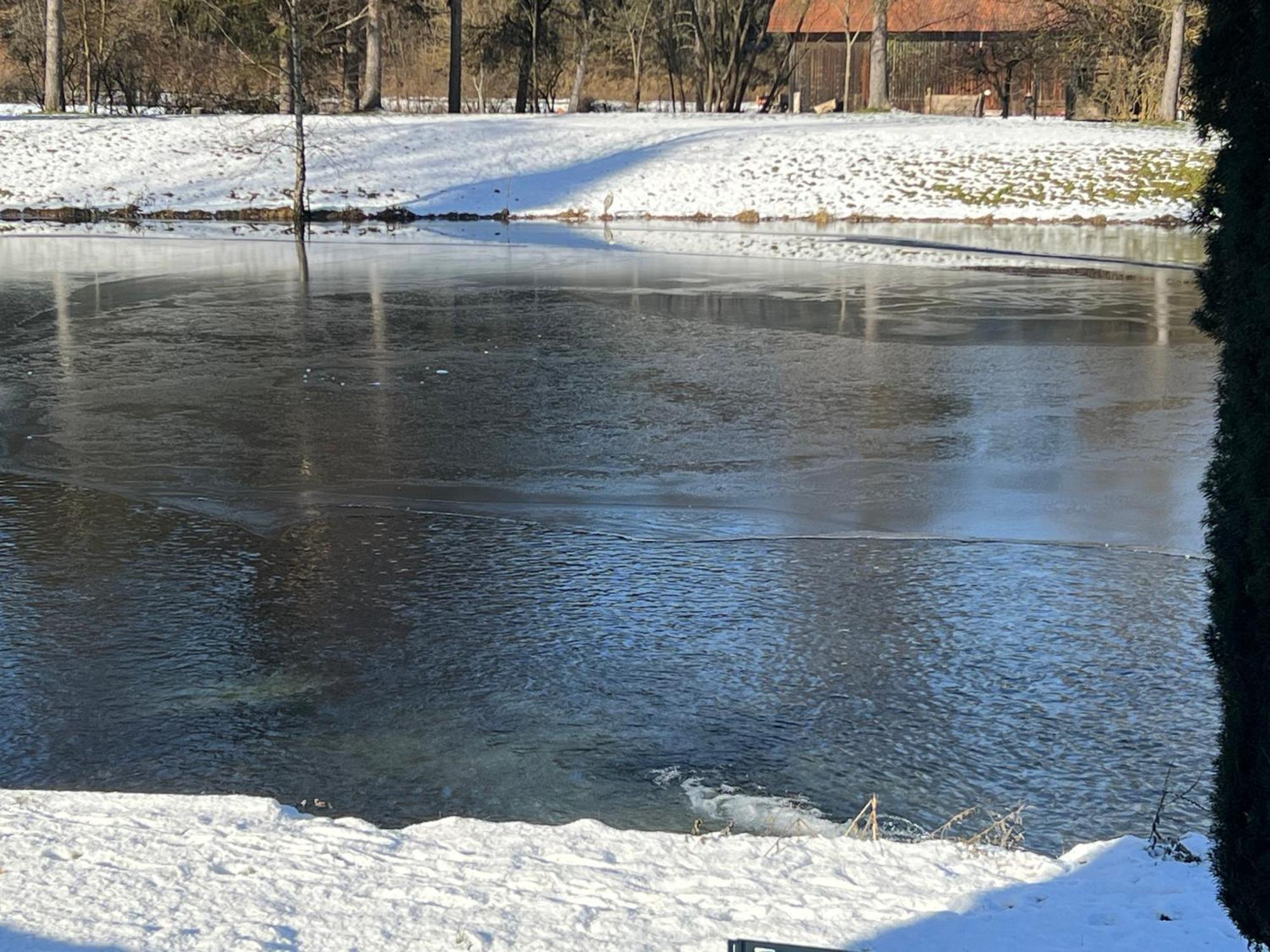 Haus Am Fischteich Lägenhet Feistritz ob Bleiburg Exteriör bild