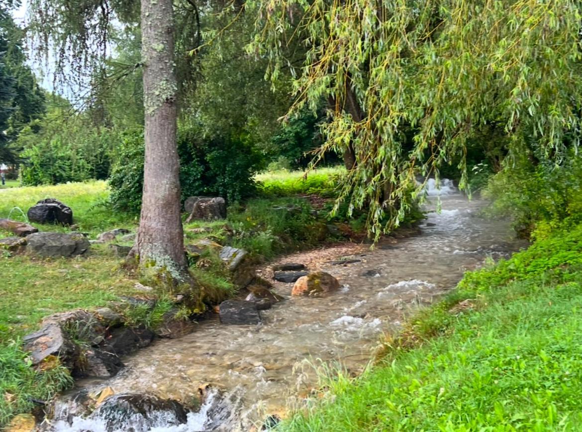 Haus Am Fischteich Lägenhet Feistritz ob Bleiburg Exteriör bild