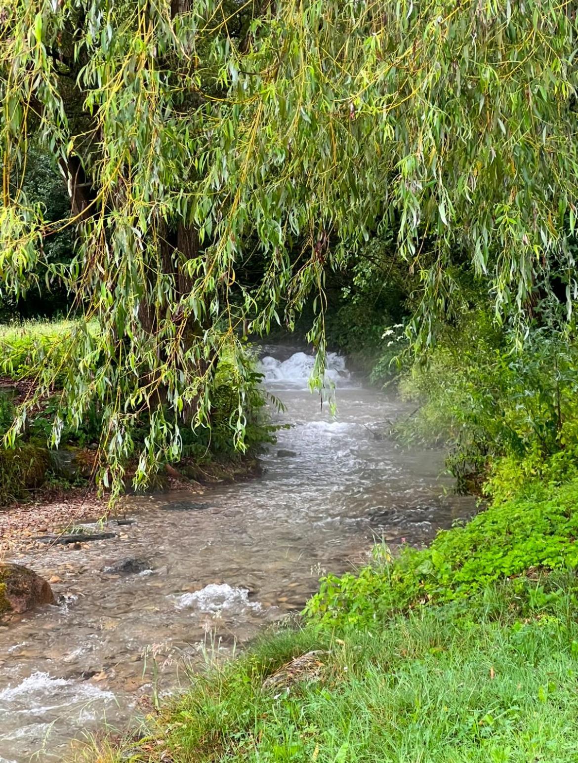 Haus Am Fischteich Lägenhet Feistritz ob Bleiburg Exteriör bild